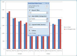 Create Customize Excel Pivot Table Charts Using Vba