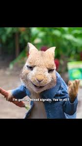 Looking back to younger Leila sweet talking daddy 😆 From just the fox to  the badger to somehow talking us into the whole Peter rabbit collection  #peterrabbit