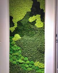 new the 10 best home decor today with pictures 台灣綠慕永生綠牆 台中陳寓施工簡單客製化機動性高後續免維護綠化 環保 美學 greenmoodtw mosswall preservedmoss greenwall cus aquarium