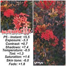 Marinette Vsco Filter Vsco Filter Vsco Filter Instagram Vsco Photography