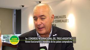 TrigAR 2019: vendrán ministros y funcionarios de los países compradores de  trigo argentino • Agroverdad