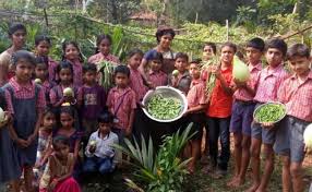 Garden egg is a good source of dietary fiber, as well as other minerals and vitamins such as vitamin b1, potassium, folate, manganese, magnesium, copper, vitamin b6, niacin and other various secrete nutrients that you can read below. Set Up Nutrition Kitchen Gardens Mhrd To Schools