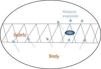 Moisture Management - an overview | ScienceDirect Topics