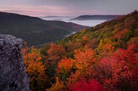 Here you can get the best west virginia wallpapers for your desktop and mobile devices. West Virginia Berge Herbst Virginia Wallpaper 1200x797 Wallpapertip