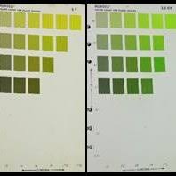 Gabarito De Cores Munsell Color Charts For Plant Tissues