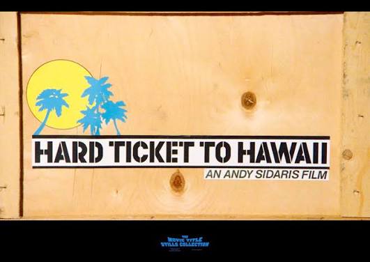 HARD TICKET TO HAWAII (1987) title sequence  https://annyas.com/screenshots/updates/hard-ticket-to-hawaii-1987/ Directed  by: Andy Sidaris Starring: Ronn Moss, Dona Speir, Hope Marie Carlton,  Harold Diamond, Rodrigo Obregón #TitleSequence