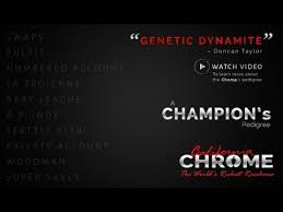 California Chrome Pedigree Video