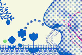 We did not find results for: How Scent Emotion And Memory Are Intertwined And Exploited Harvard Gazette