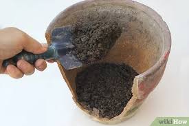 There are many ways to transform them. 3 Ways To Make A Fairy Garden From Broken Pots Wikihow