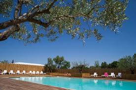Piscine Sportive Quartier De L Aquabulle Picture Of Yelloh Village Les Petits Camarguais Le Grau Du Roi Tripadvisor