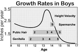 However, for most people past age 17, you're talking milimeters per year, and it. At What Age Do Boys Stop Growing Famlii