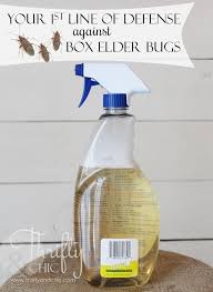 Following the manufacturer's instructions, use a hand duster or a large scoop to sprinkle diatomaceous earth around the base of your boxelder or maple trees. How To Rid Your House Of Those Pesky Box Elder Bugs The Safe Way Box Elder Bugs Box Elder Bug Repellent