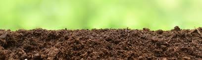 If your lawn has mild to moderate winter kill, core aerate and topdress, then fertilize to encourage new growth. Lawn Topdressing Why When And How To Do It By Fantastic Gardeners