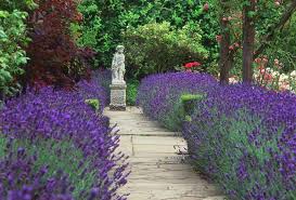 For this reason, beautiful and practical garden pathways can add value to your home. A Lovely Fragrant Path