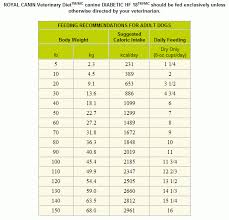 Pet Diabetes Comparison Of Three Diabetic Dry Foods