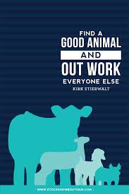 Get Inspired With Stock Show Quotes Livestock Quotes Show Cows Animal Quotes