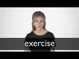 French Translation Of Exercise Collins English French Dictionary