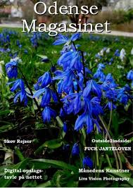 Odensemagasinet Februar 2013 by Odense Magasinet