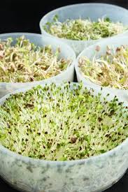Epingle Sur Legumes