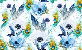 Peacock feathers hd desktop background was posted on. Peacock Feathers Wallpaper For Walls Poppies And Peacocks