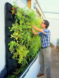 10 Garten Trends Denen Man Im Sommer 2018 Nachgehen Kann Vertikaler Gemusegarten Vertikaler Garten Vertikaler Krautergarten