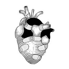 Henn Kim Art Anatomy Art Heart Art