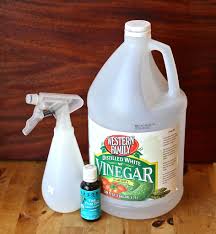 White vinegar, which has antibacterial properties, is a popular natural cleaning solution that yogis use to disinfect their mats. Clean Your Yoga Mat 6 Steps With Pictures Instructables