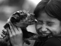 2012 Conference Abstract Booklet:Layout 1