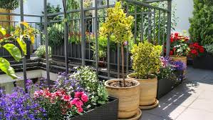 An einem sonnigen, luftigen standort mit gelockerter erde fühlt sich die blume dann noch besonders wohl. Kubelpflanzen Schon Fur Balkon Und Terrasse Ndr De Ratgeber Garten