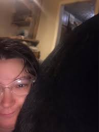 Rabbits that follow owners everywhere outside