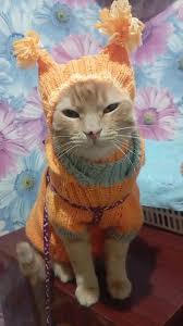 ��� � ���� ������� | TikTok