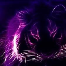 86 purple wallpapers (1440p resolution) 2560x1440 resolution. 22 Purple 4k Ideas Purple Hd Wallpaper Missouri Tigers Logo