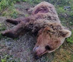 Faça o download do aplicativo de vagas. Xhpz1mvtjofdom