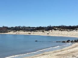 Book the perfect vacation rental in cape cod, ma on flipkey today! The Best Cape Cod Pet Friendly Vacation Rentals Tripadvisor Book Pet Friendly Vacation Rentals In Cape Cod