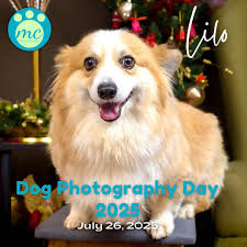 panophotochallenge 😂 Really top notch picture from my baby shower.