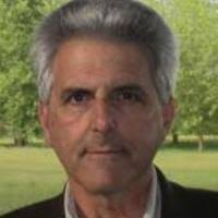 PDF) Organizations: Theoretical Debates and the Scope of Organizational  Theory