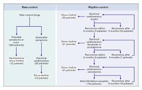 Image result for Atrial Fibrillation Rhythm Control