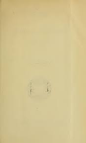 Image result for Elionurus platypus