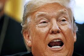 More than 26 million stock images, videos & illustrations online all image rights & copyrights included use your pictures for print, web & even social media Warum Zeigt Google Bei Der Suche Nach Idiot Bilder Von Trump