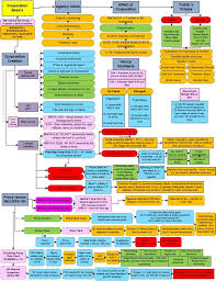 2 By Popular Demand A Poster Of This Flowchart Is Available
