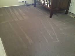 Get quotes and book instantly. Carpet Cleaning Ringwood North Mr Neate Cleaning