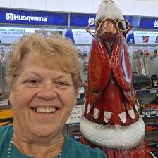 Soaking alfalfa cubes in water for chickens in static runs