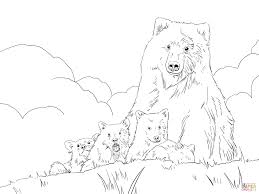 How To Draw A Detailed Grizzly Bear Step By Step Google Search Bear Sketch Bear Art Bear Drawing