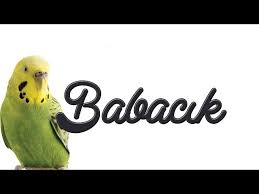 Babacik Inanilmaz Papagan Ve Muhabbet Kusu Konusturma Ses Kaydi Youtube