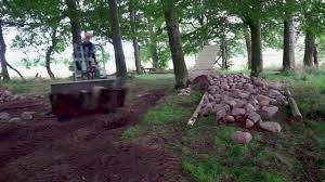 They are happy in shallow soil and don't mind the cold, but really need good drainage. How To Make A Rock Garden Mtb Youtube