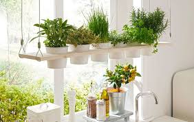 Krauterregal Selber Bauen Das Haus Krautergarten Kuche Krautergarten Drinnen Selber Bauen