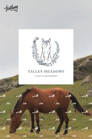 Equestrian Brand Design For Southern California Business Equestrian Logo Branding Design Branding Design Logo