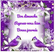 Bon Dimanche Bon Dimanche Bonjour Dimanche Dimanche