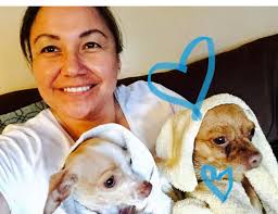 Hello to Nacho the Crestie