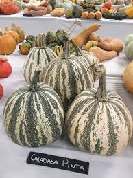 Pin On 2017 Heirloom Expo Vegetables